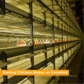 Poultry raising prefab broiler chicken houses with broiler chicken cage